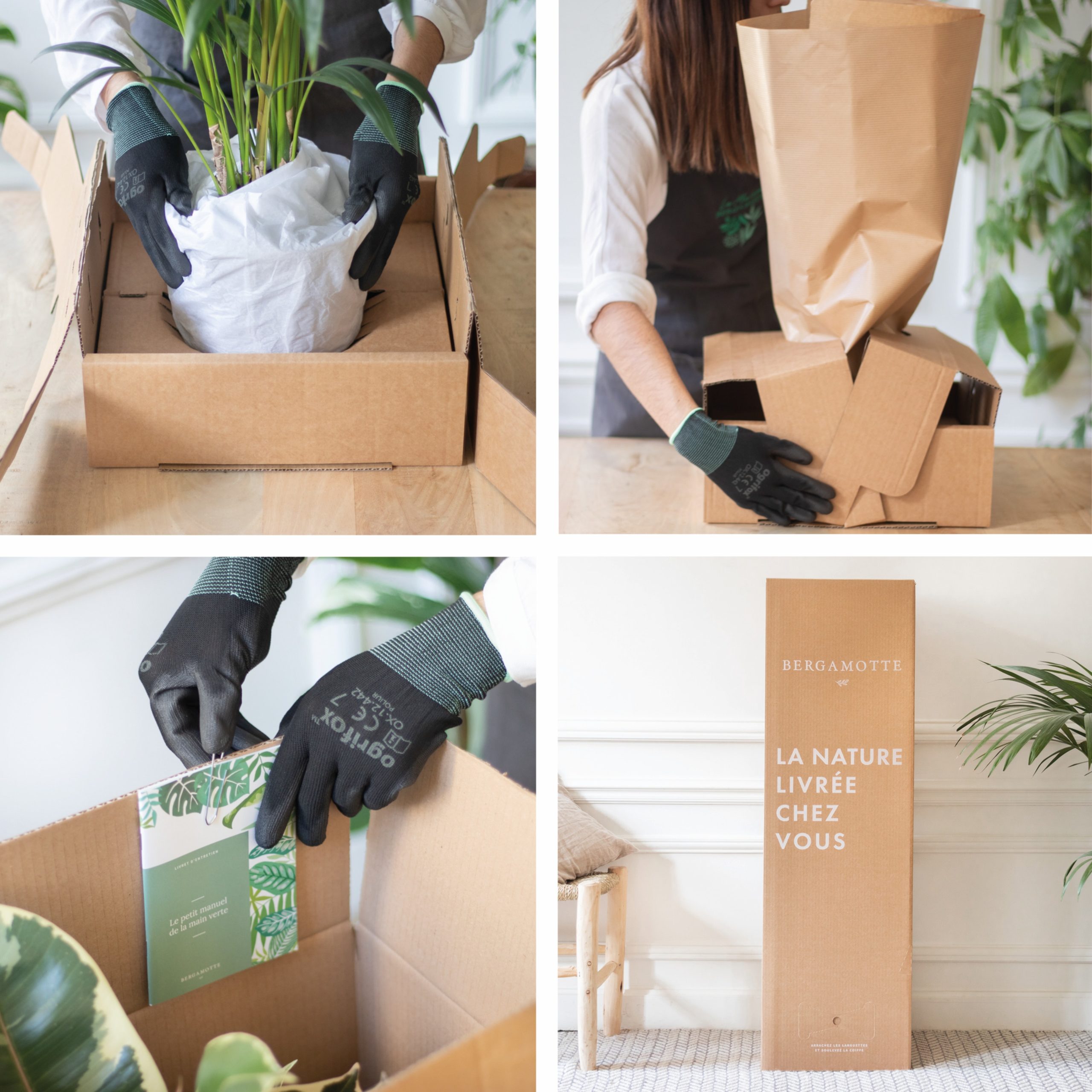 0f74ef15-82d8-495a-8998-7a35b1ef9731