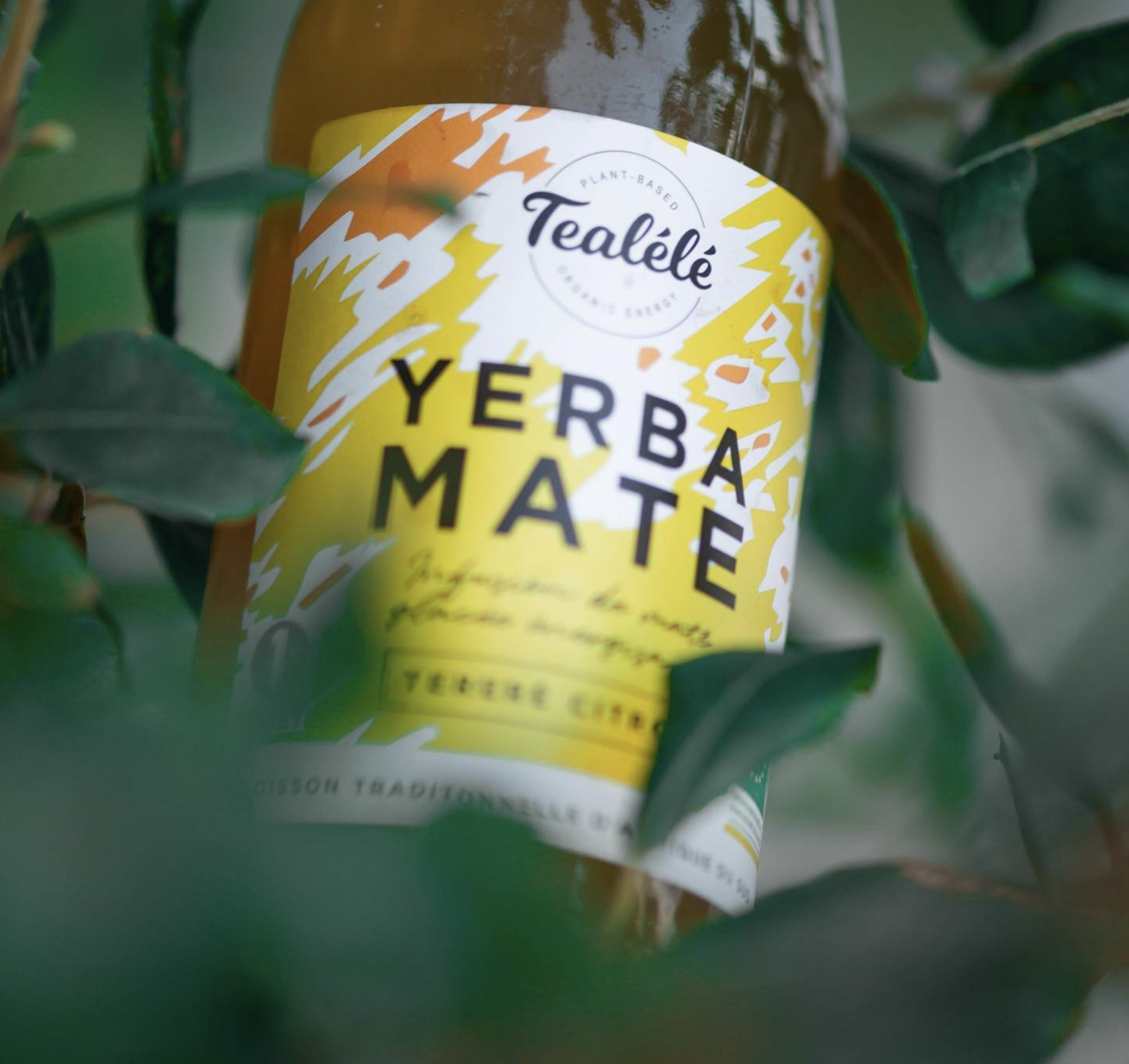 Capture-décran-2022-03-19-à-09.24.38