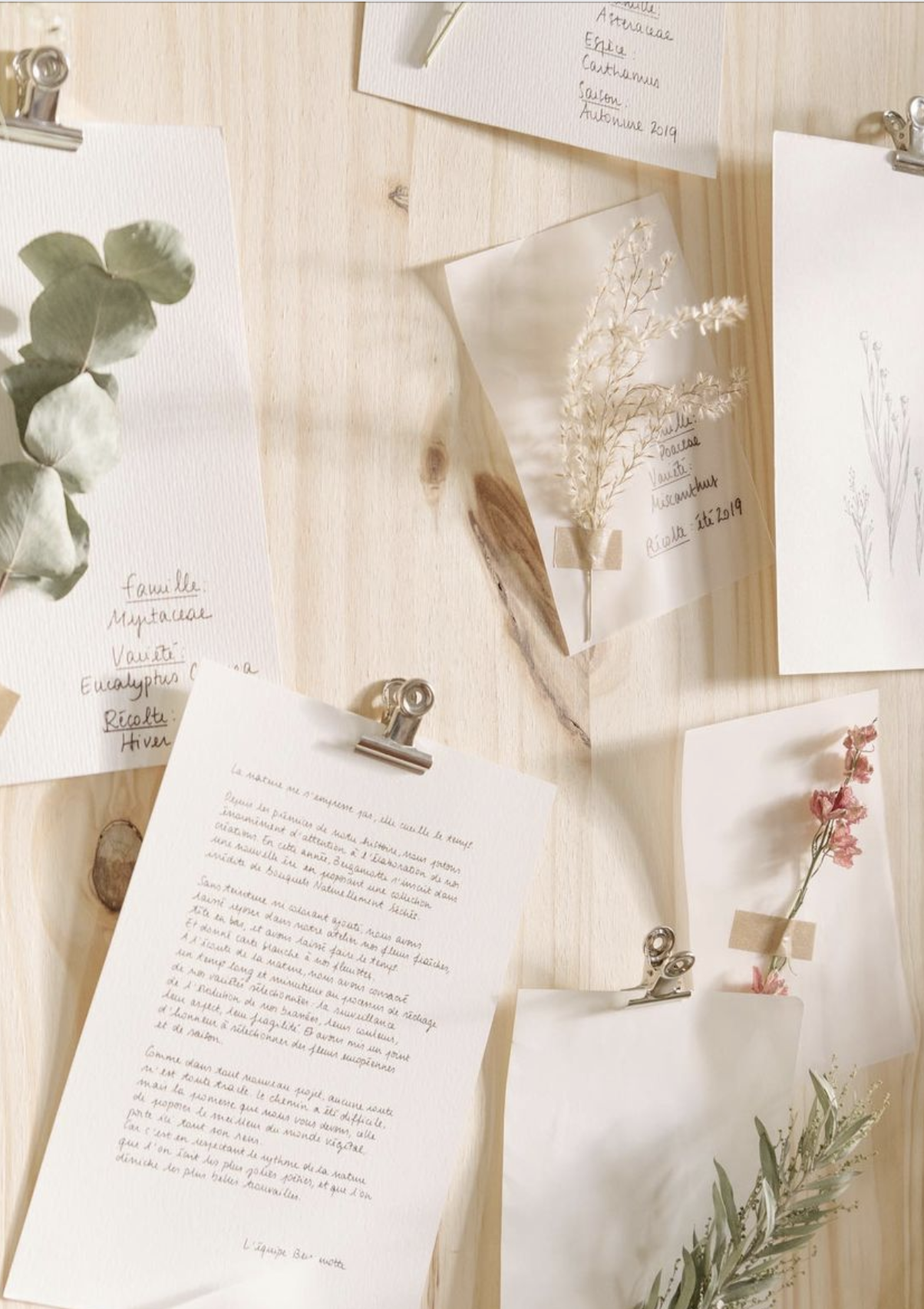 Capture-décran-2022-03-19-à-10.59.11