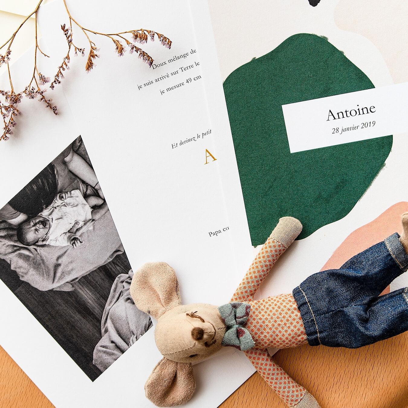 faire-part-innocence-chaton-fr_8d7407e452f8e0b6784eb6c0f39f43e6