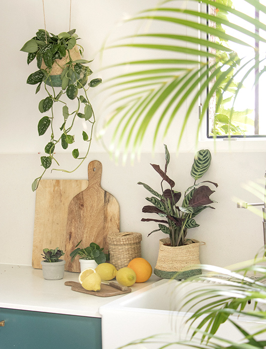 petite-photo-focus-6