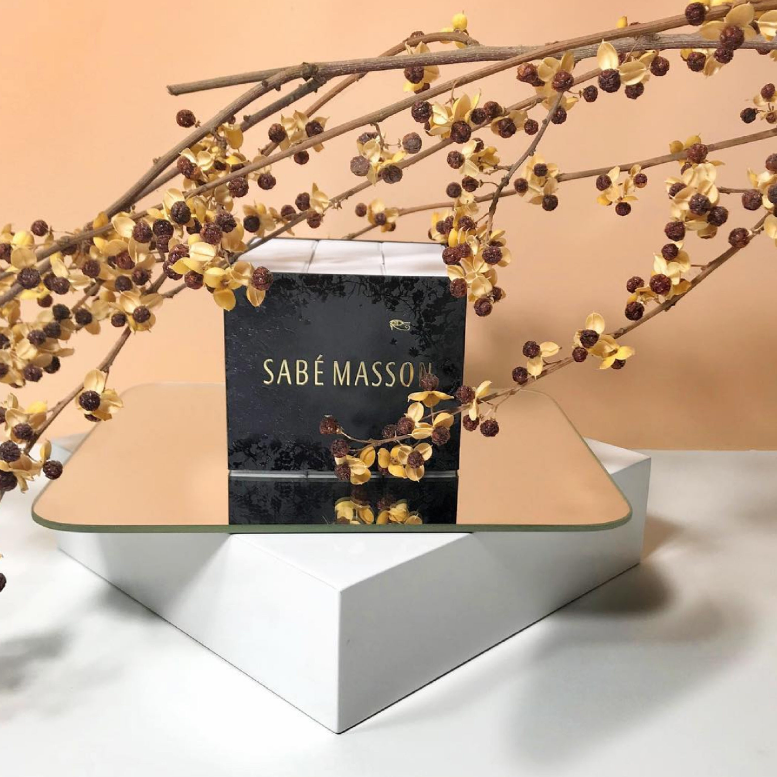 sabemasson_Plan-de-travail-1-copie-124